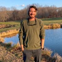 Eyal Shperling, photo 2