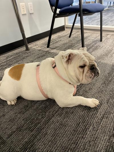 Kelli Durkin, photo 2