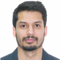 Amber Kapoor, photo 1