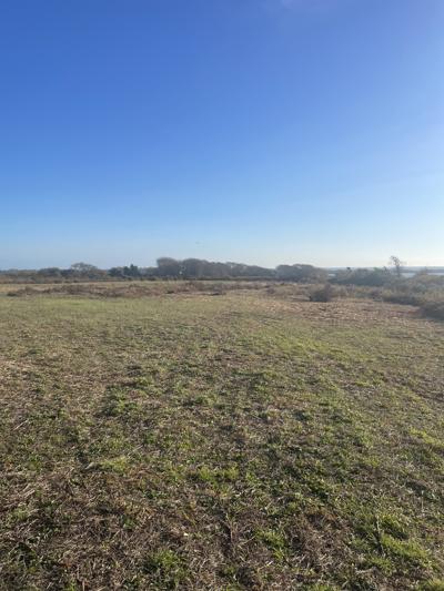 Norman Bird, photo 2