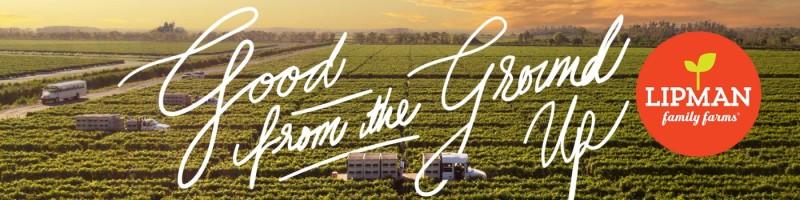 Ashley Sutherland, photo 2