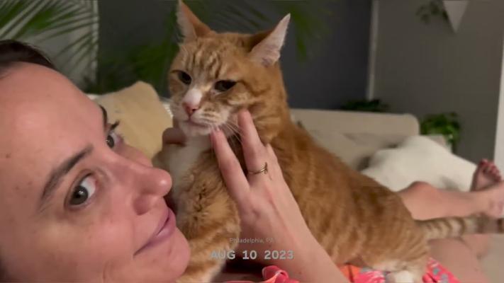 Jesse Lindsay, photo 1