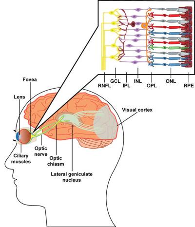 Edison Caldwell, photo 2