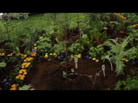 Patrick Rodysill, photo 2