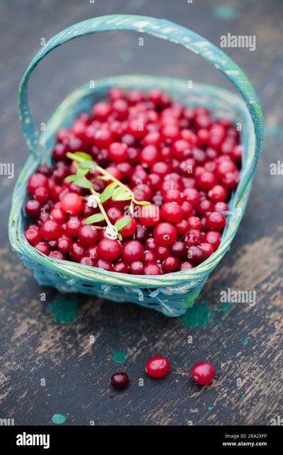 Grant Beard, photo 1