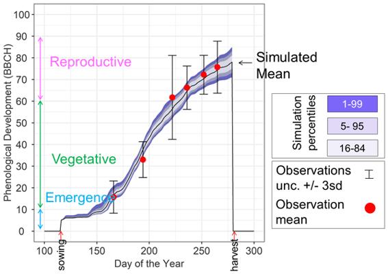 Joseph Colliu, photo 2
