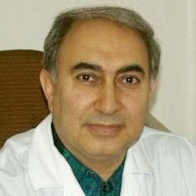 Sahar Shamsian, photo 2