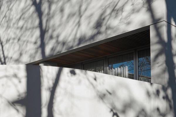 Robert Davidov, photo 2