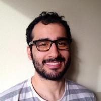 Ali Anari, photo 1