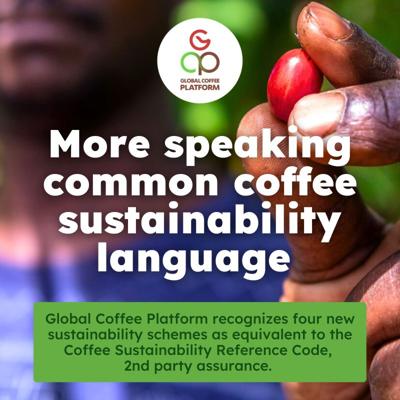 Anne Hermsen, photo 2