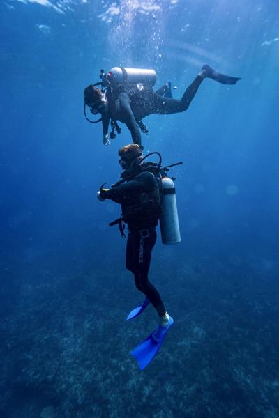 Harvey Clements, photo 1