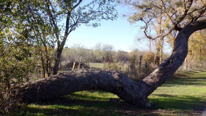 Steve Houser, photo 1