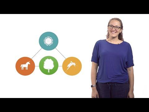 Rebecca Christoffersson, photo 2