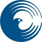 Andrew McEwen, photo 2