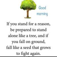 Dalal Al Mutairi, photo 1