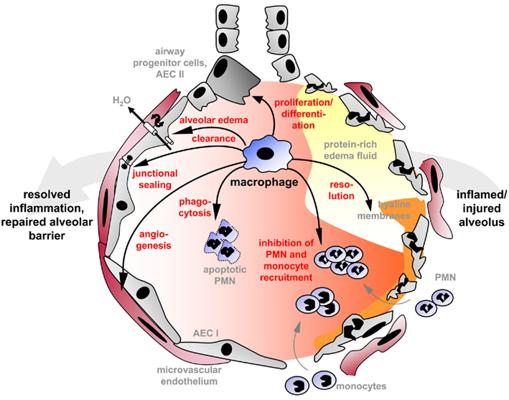 Alexandre Desnues, photo 1