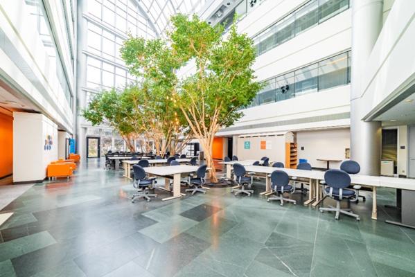 Paul Rivett, photo 2