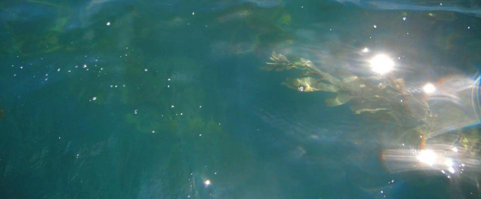 Dana Rowley, photo 1