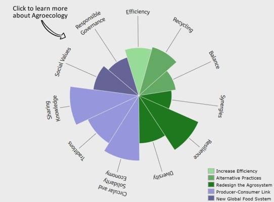 Fabio Leippert, photo 2