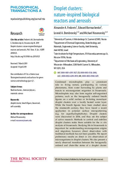 Edward Bormashenko, photo 2