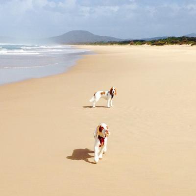 Henry Madell, photo 2