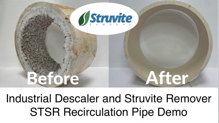 Evan Andersen, photo 2