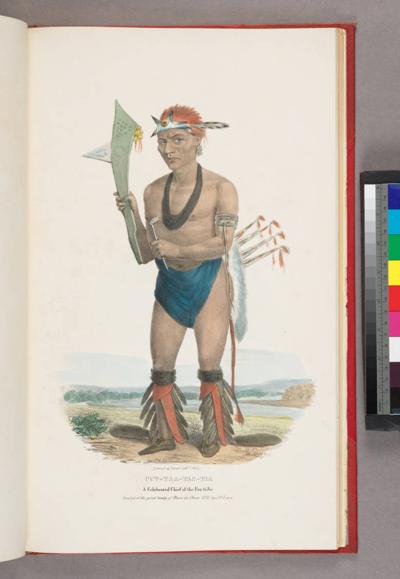 Kenta Thomas Naoi, photo 2