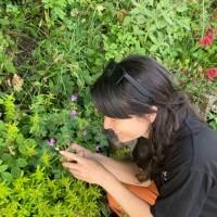 Ellie Barnham, photo 1