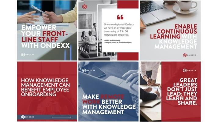 Bba Vicki Waschkowski, photo 2