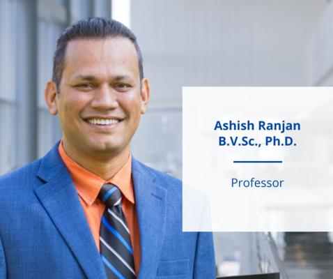 Avee Ranjan, MCA, PMP, SCPM, photo 2