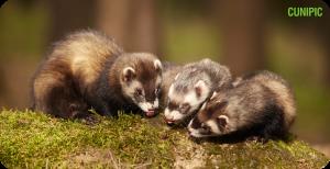 Arquimedes Uron, photo 1