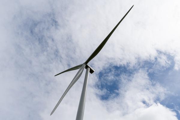 Lelia Raynard, photo 1