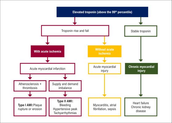 ️ Chowdhury, photo 1