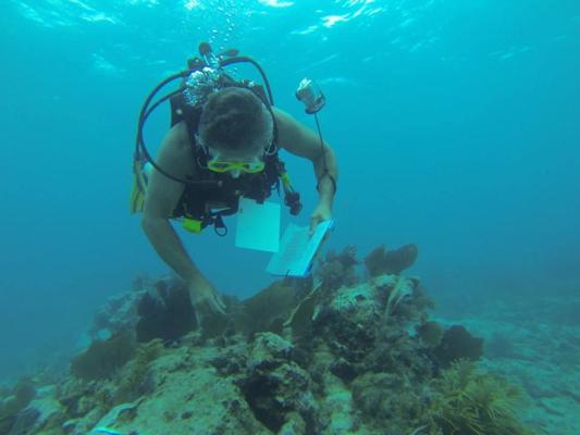 Brice Cantrell, photo 1