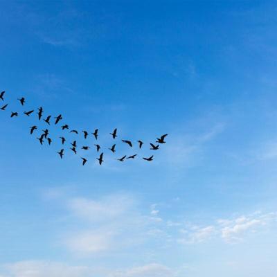 Harsimran Khural, photo 1