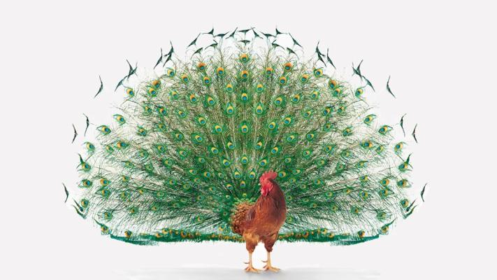 Kellie Beumer, photo 1