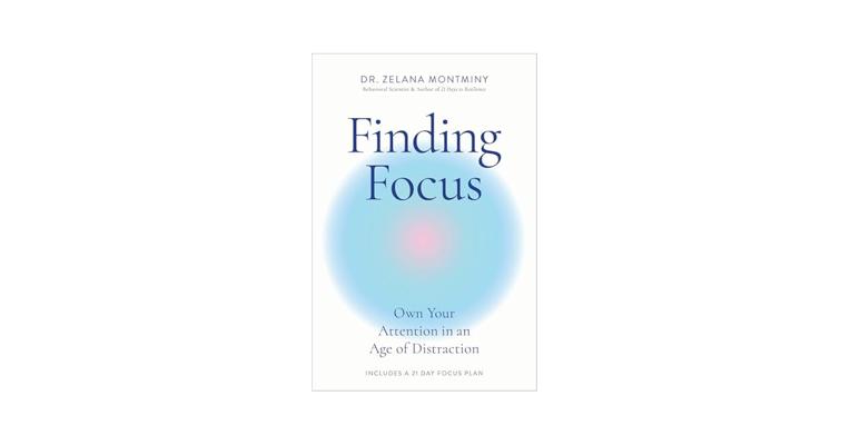 Matthew Gaba, photo 2