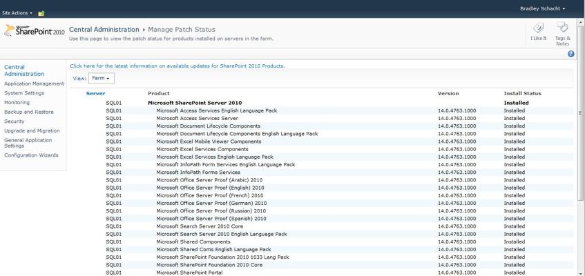 Sjaak Koops, photo 2