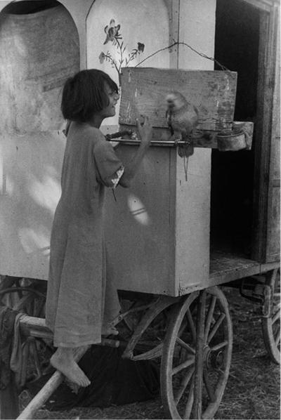 Cesare Pasquale, photo 2