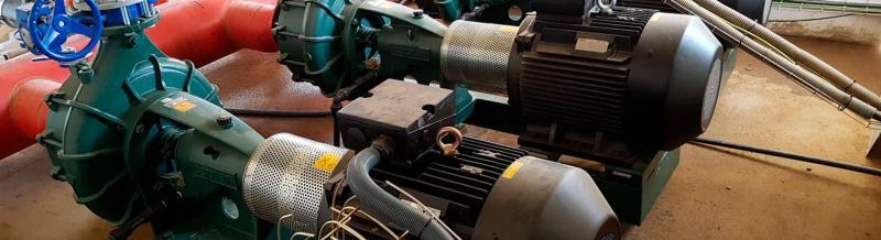 Jose Liquete, photo 2