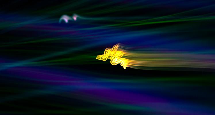 Lawrence Lin, photo 2