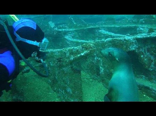 José Bravo, photo 1