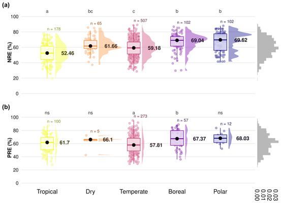 Hester Toet, photo 2