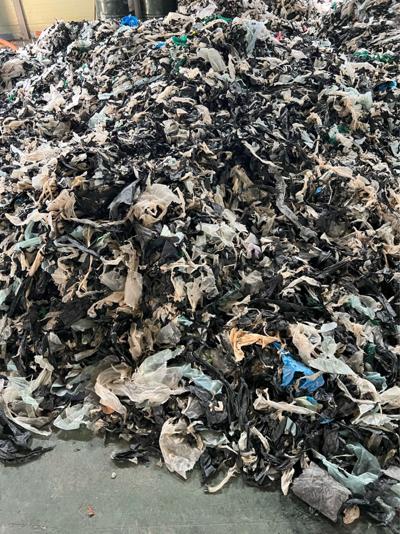 Jayne Murphy, photo 1