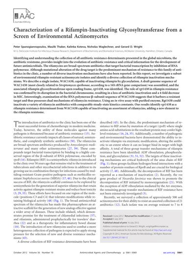 Tobias Koschubs, photo 1