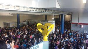 Dianne Marsh, photo 1