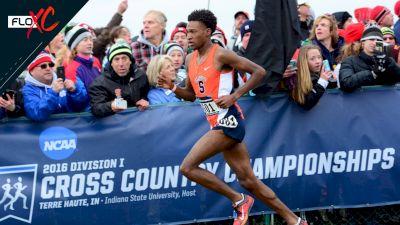 Laurie Lambert, photo 2