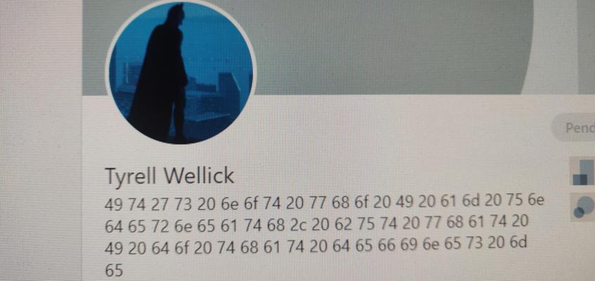 Mr. Robotic, photo 2