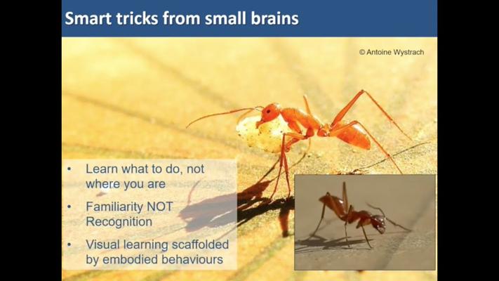 Andrew Philippides, photo 1