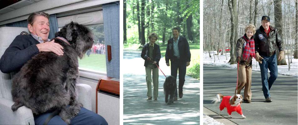 David Carline, photo 1